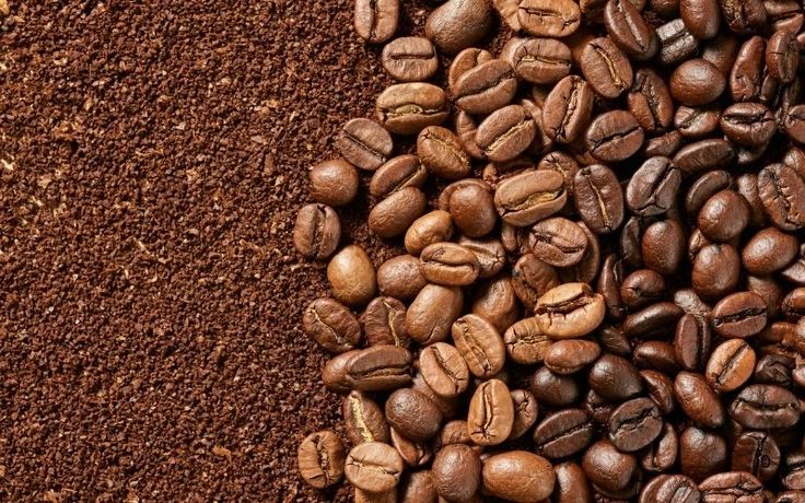 Cà phê rang xay cho quán: Cách chọn loại phù hợp, ổn định và tối ưu chi phí